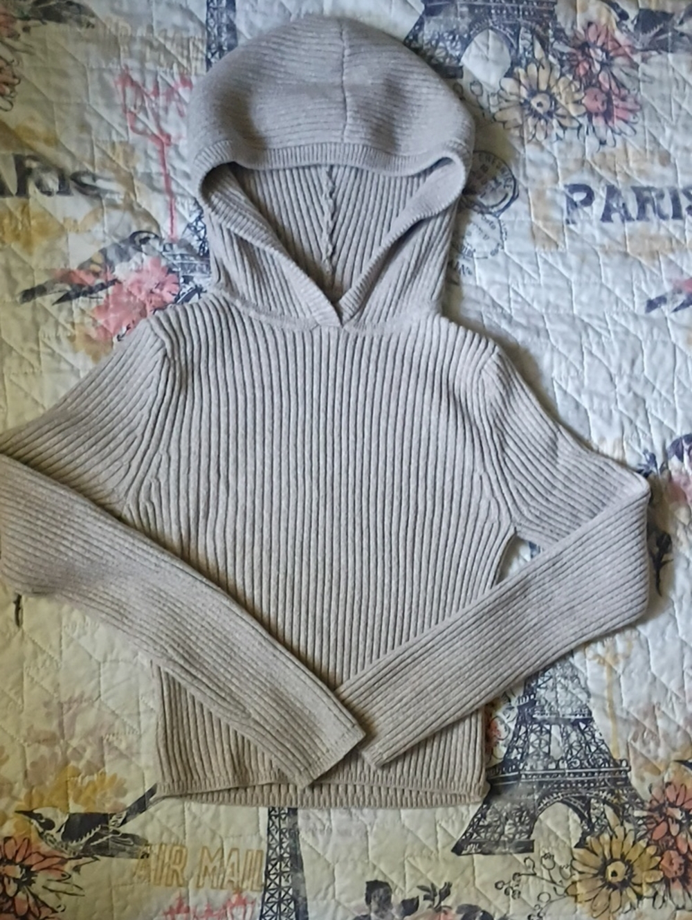 Aerie Ribbed Tan Colored Hoodie Sweater - Women